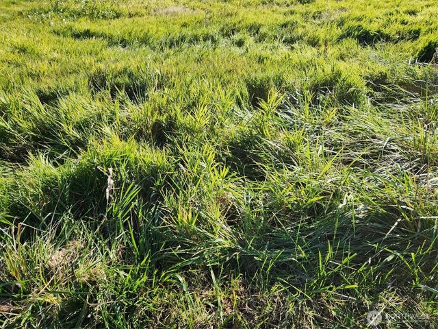 300 W Front, Aberdeen, WA 98520