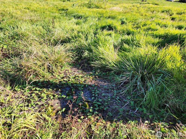 300 W Front, Aberdeen, WA 98520