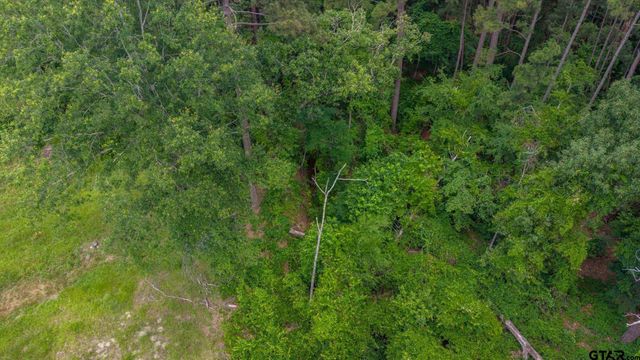 15246 Seven League Road, Tyler, TX 75703