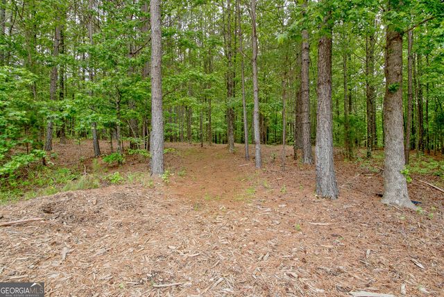138 Magnolia Place Drive, Senoia, GA 30276
