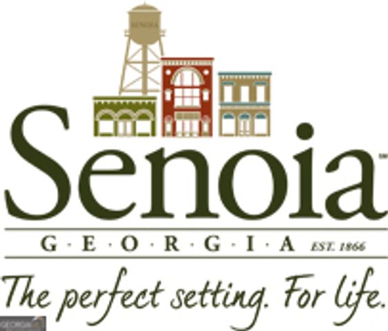 138 Magnolia Place Drive, Senoia, GA 30276
