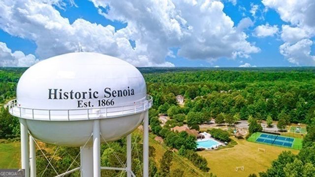 138 Magnolia Place Drive, Senoia, GA 30276
