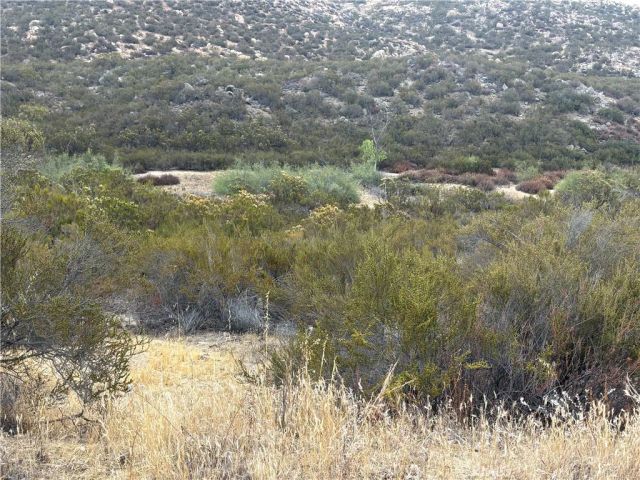 8 Wiley, Hemet, CA 92544