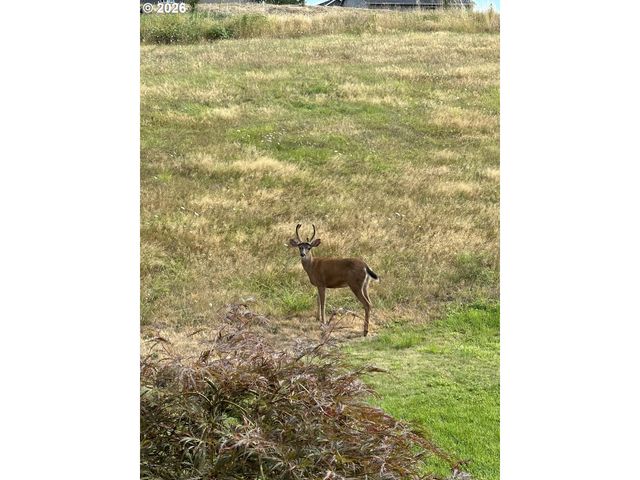 1421 Nw 117TH Cir, Vancouver, WA 98685