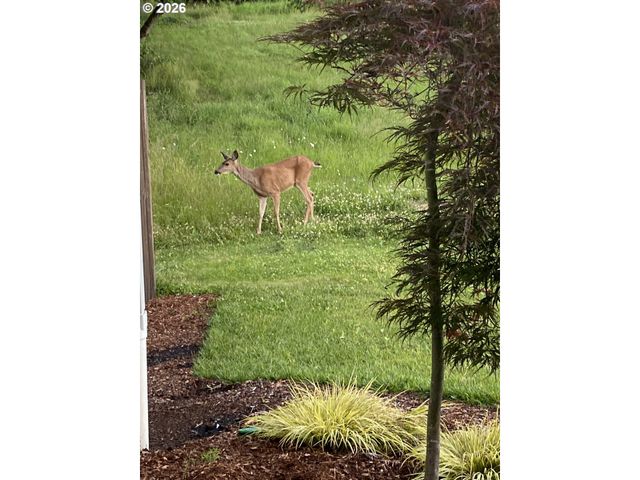 1421 Nw 117TH Cir, Vancouver, WA 98685