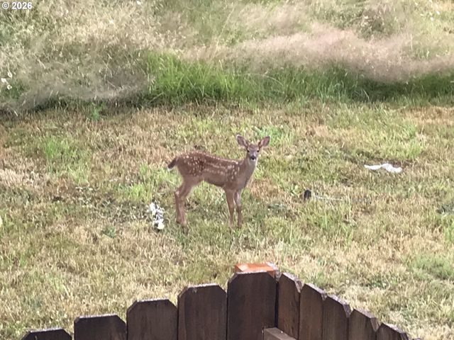 1421 Nw 117TH Cir, Vancouver, WA 98685