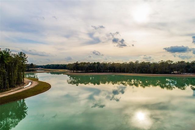 22182 Wilderness Waterway Lane, Porter Heights, TX 77365