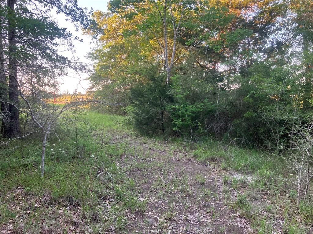 TBD Tx-6 Highway S, Navasota, TX 77868 — photo 3