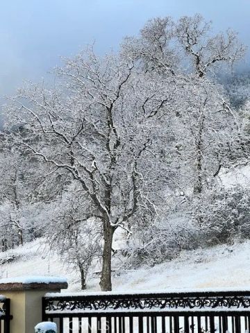 29501 Hart Oaks Drive, Keene, CA 93531