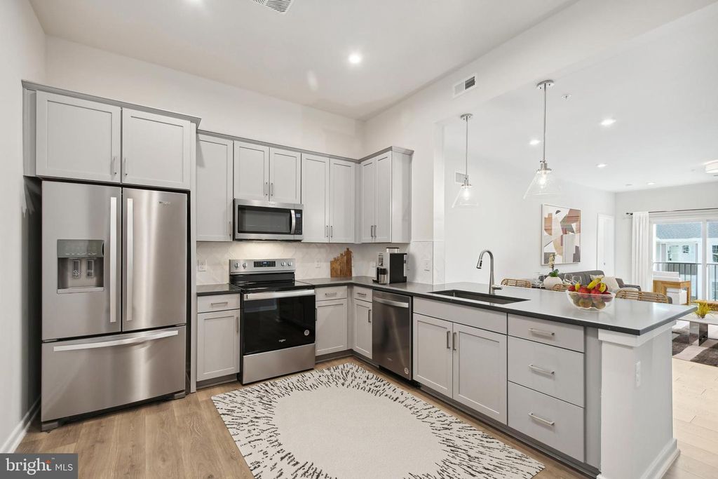 750 MOUNT AIRY TER NE #205, Leesburg, VA 20176