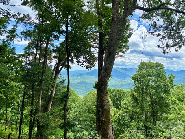 203 Laurel Lane, Little Switzerland, NC 28749