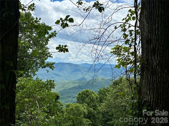 203 Laurel Lane, Little Switzerland, NC 28749