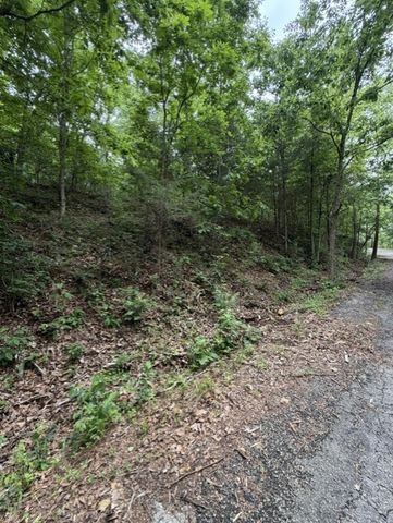 TBD Islay Drive, Bella Vista, AR 72715