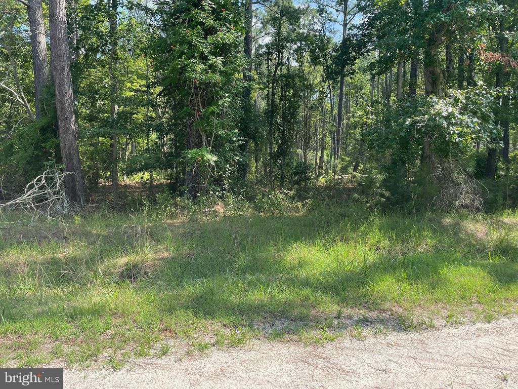 0 RUMBLY POINT RD, Marion Station, MD 21838