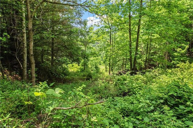 000-000 Bee Branch Road 14AC, Bakersville, NC 28705