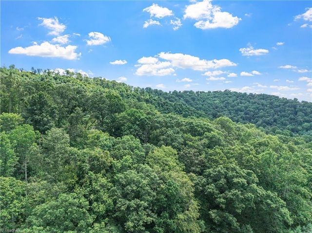 000-000 Bee Branch Road 14AC, Bakersville, NC 28705