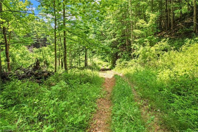 000-000 Bee Branch Road 14AC, Bakersville, NC 28705