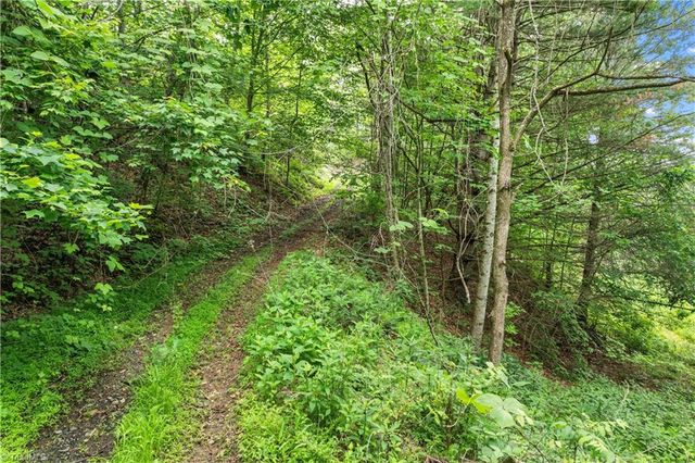 000-000 Bee Branch Road 14AC, Bakersville, NC 28705