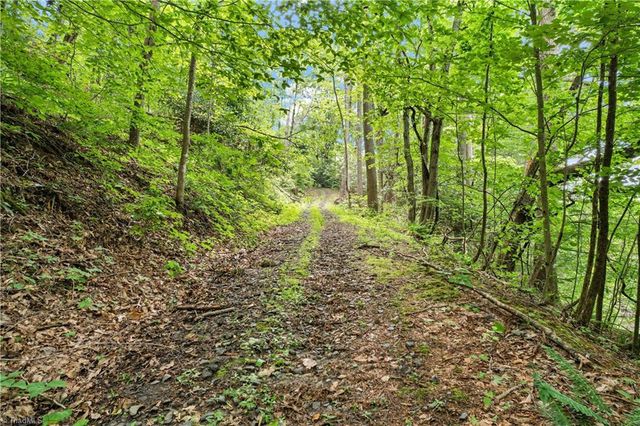 000-000 Bee Branch Road 14AC, Bakersville, NC 28705
