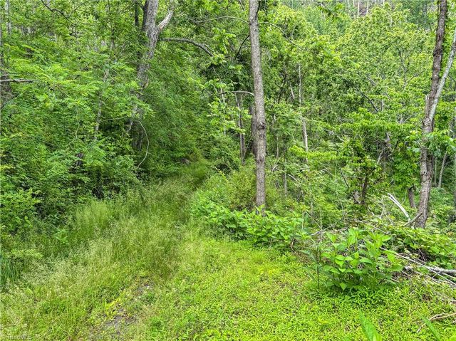 000-000 Bee Branch Road 14AC, Bakersville, NC 28705