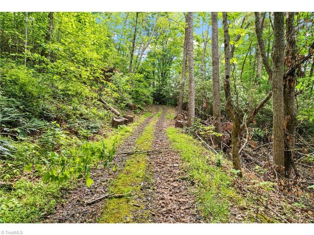 000-000 Bee Branch Road 14AC, Bakersville, NC 28705