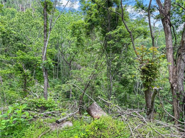 000-000 Bee Branch Road 14AC, Bakersville, NC 28705