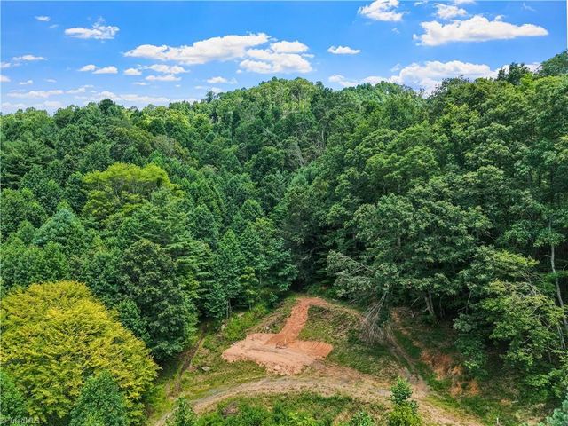000-000 Bee Branch Road 14AC, Bakersville, NC 28705
