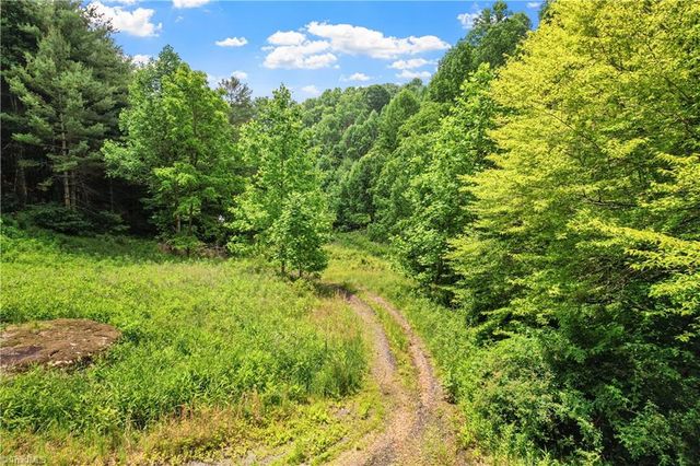 000-000 Bee Branch Road 14AC, Bakersville, NC 28705