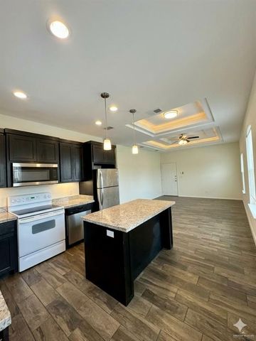 507 Downing Avenue 2, Edinburg, TX 78539