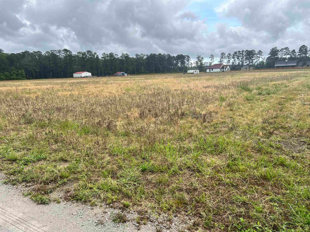 Circle Bay Dr., Longs, SC 29568
