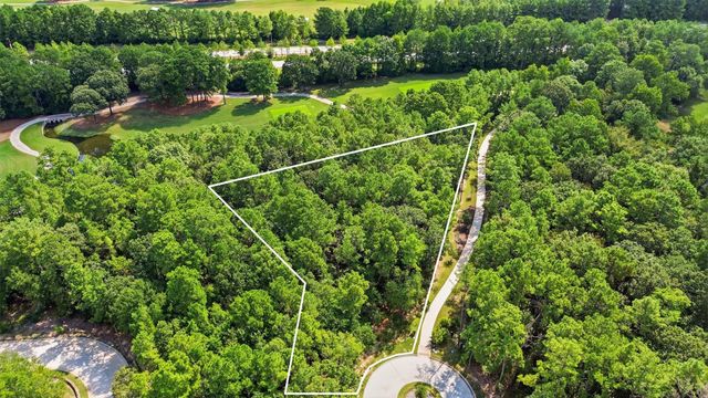 104 Chateau Pines Court, Montgomery, TX 77316