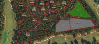104 Chateau Pines Court, Montgomery, TX 77316