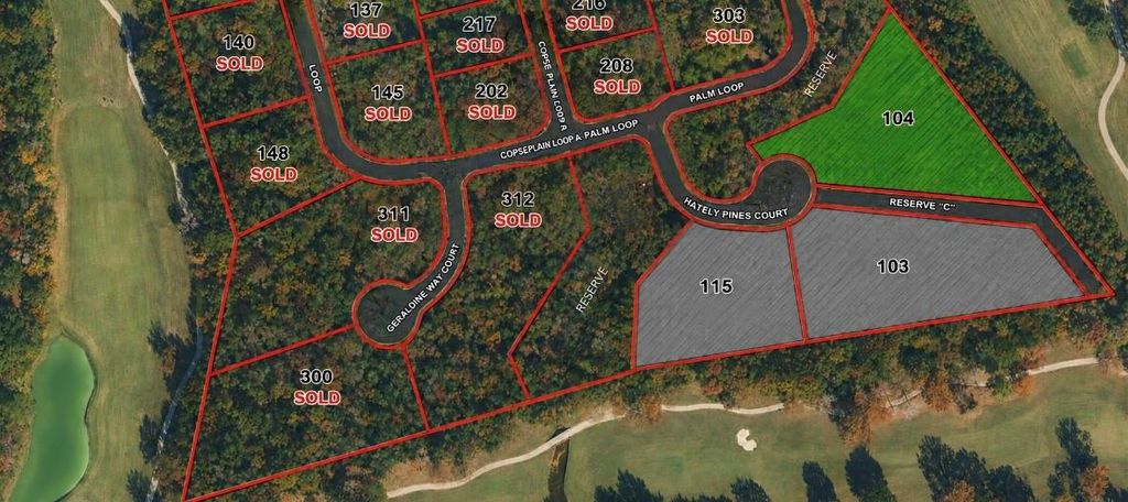 104 Chateau Pines Court, Montgomery, TX 77316