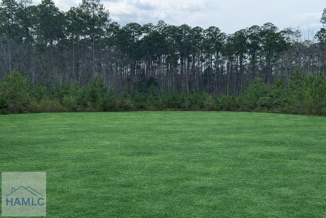 1091 Bradwell Dunham Road, Ludowici, GA 31316