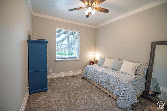 53 W 300 S, Midway, UT 84049