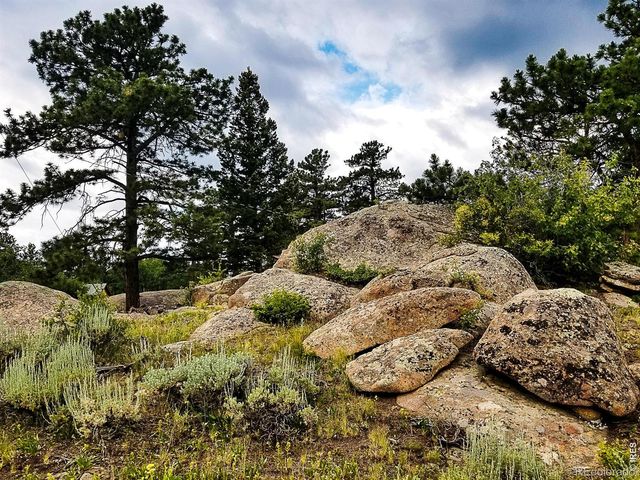 983 Ramona Drive, Red Feather Lakes, CO 80545