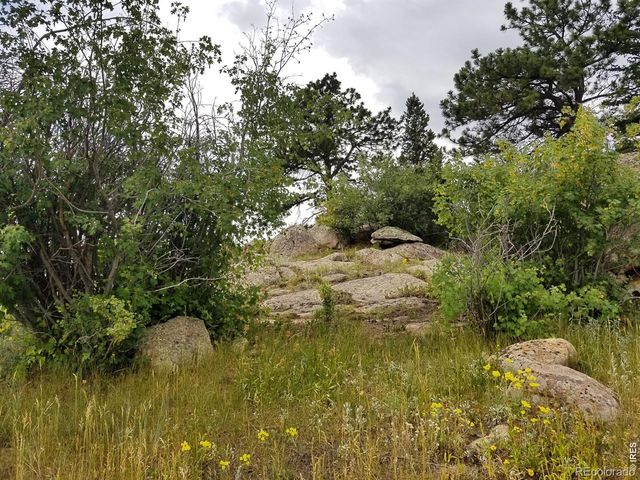 983 Ramona Drive, Red Feather Lakes, CO 80545