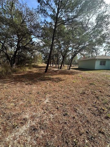 7425 MANDRAKE ROAD, Weeki Wachee, FL 34613