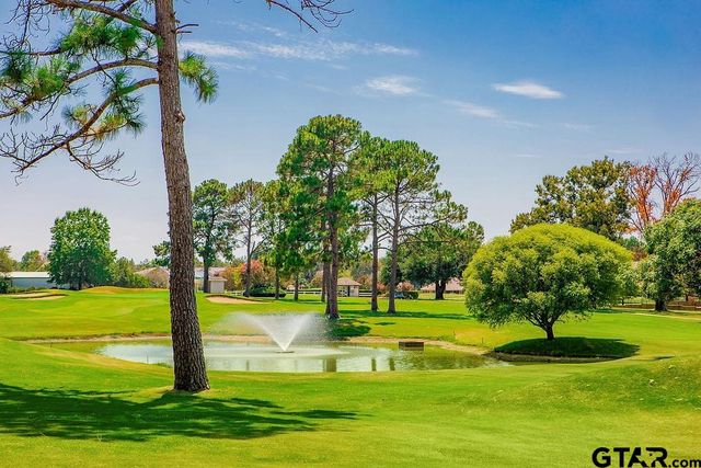 216 Treetop Lane, Hideaway, TX 75771