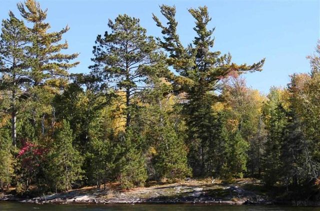 8481 Wakemup Narrows, Cook, MN 55771