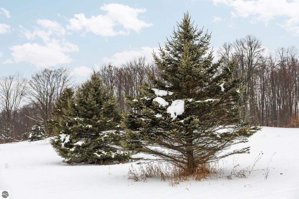 Image 12 of property listing at 9756 SW Deibert Road, South Boardman, MI 49680