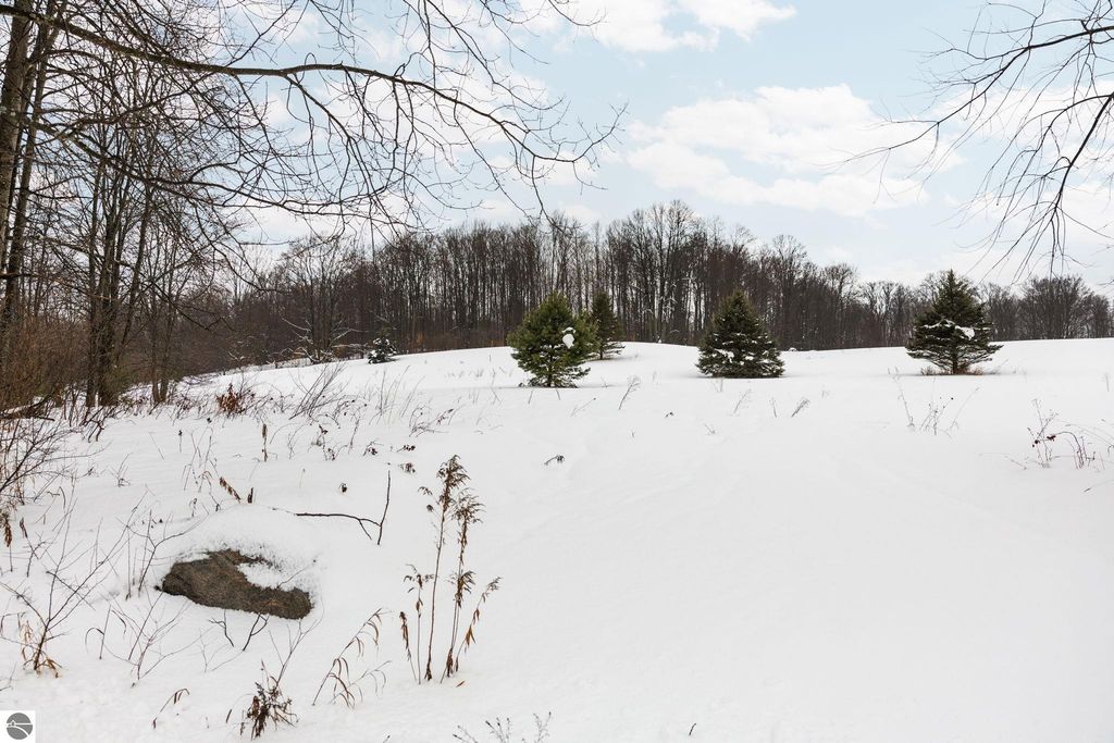 Image 13 of property listing at 9756 SW Deibert Road, South Boardman, MI 49680