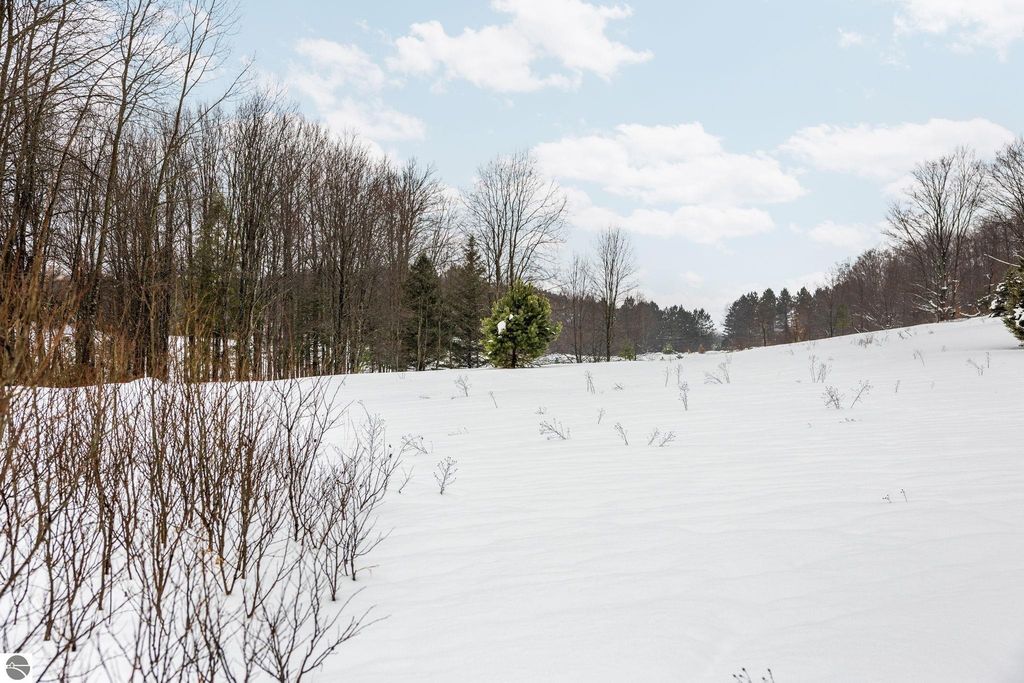 Image 17 of property listing at 9756 SW Deibert Road, South Boardman, MI 49680