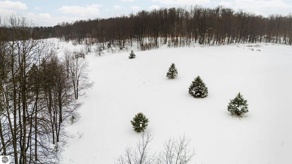 Image 18 of property listing at 9756 SW Deibert Road, South Boardman, MI 49680