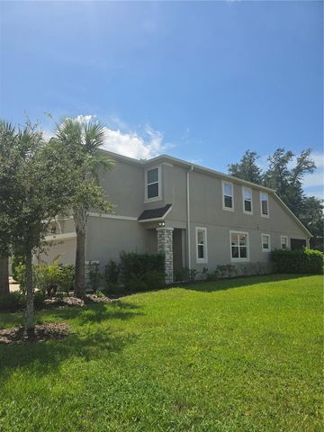 14162 DAMSELFLY DRIVE, Tampa, FL 33625