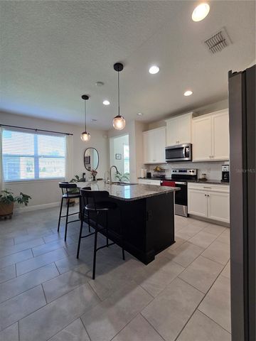 14162 DAMSELFLY DRIVE, Tampa, FL 33625