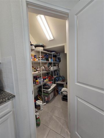 14162 DAMSELFLY DRIVE, Tampa, FL 33625
