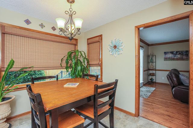 721 Bentley Drive, Lexington, SC 29072