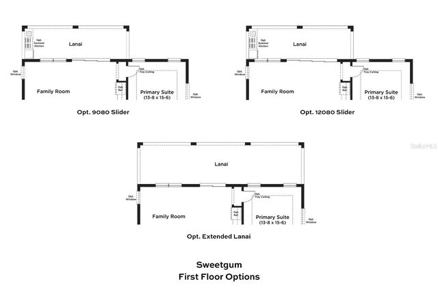 30289 RUSTIC MILL STREET, Mount Dora, FL 32757