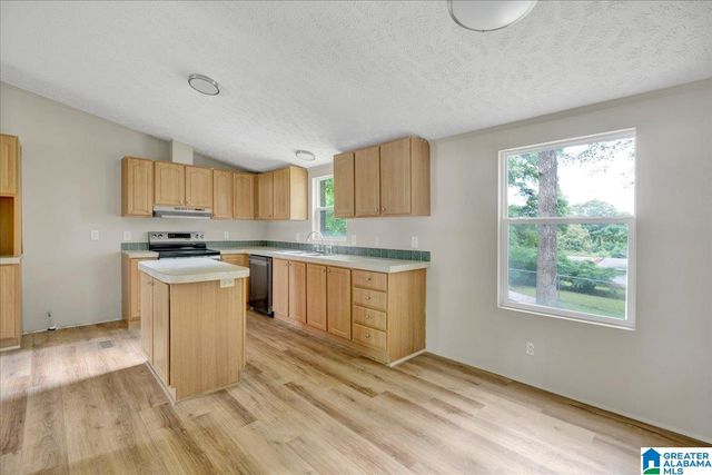 351 MCGINNIS STREET, Springville, AL 35146